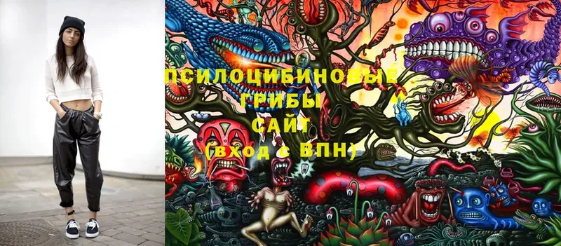 hydra как войти  дарк нет какой сайт  Сосновка  Псилоцибиновые грибы Magic Shrooms  сколько стоит 